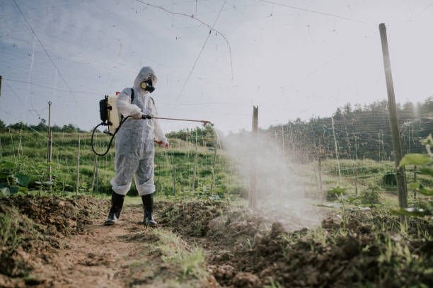 Best Commercial Pest Control Services  in Columbus, MT