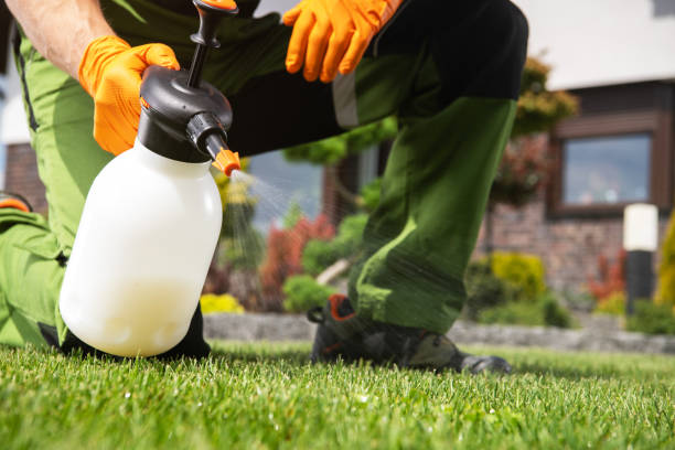 Best Termite Control Services  in Columbus, MT