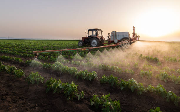 Best Pest Inspection Near Me  in Columbus, MT