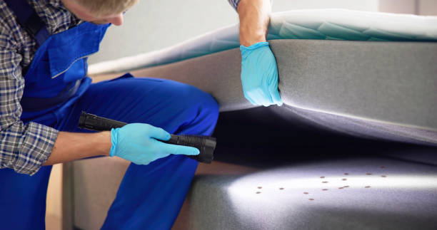 Best Local Pest Control Services  in Columbus, MT